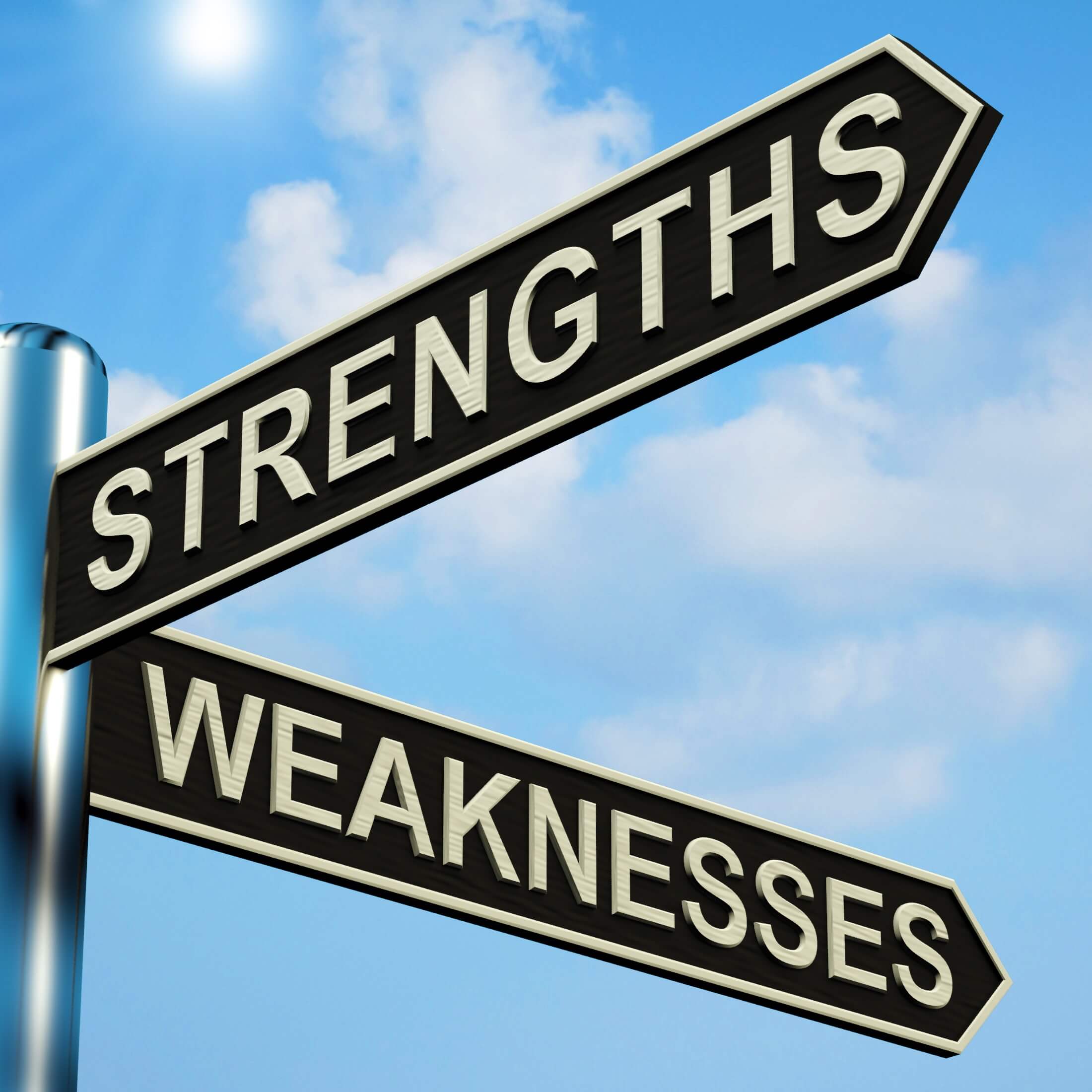 Strengths and weaknesses of leaders in science